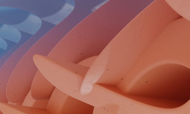 Bangun Database Pelanggan via WhatsApp dan Kelola dengan Cerdas Menggunakan WABolt