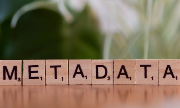 Bangun Database Pelanggan via WhatsApp dan Kelola dengan Cerdas Menggunakan WABolt