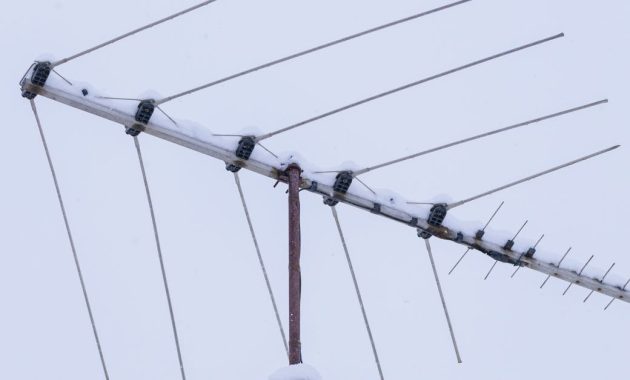 Broadcast WhatsApp Tanpa Kena Blokir? Kenali Pola Aman dengan Bantuan WABolt